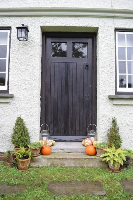 Cedra Cottage - Vintage Country Hideaway แอ็กซ์มินสเตอร์ ภายนอก รูปภาพ